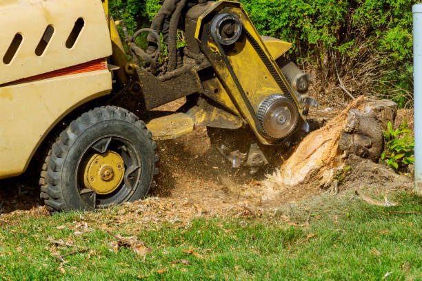 Best Aeration Services  in Fort Davis, TX